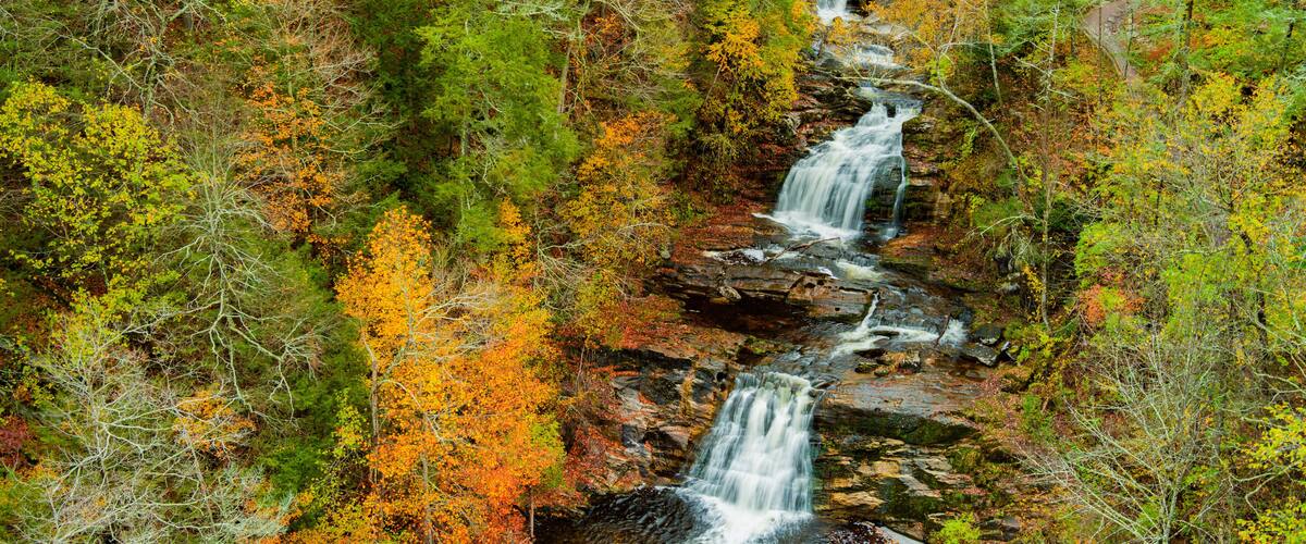 Een waterval die door een bos met herfstkleuren stroomt.