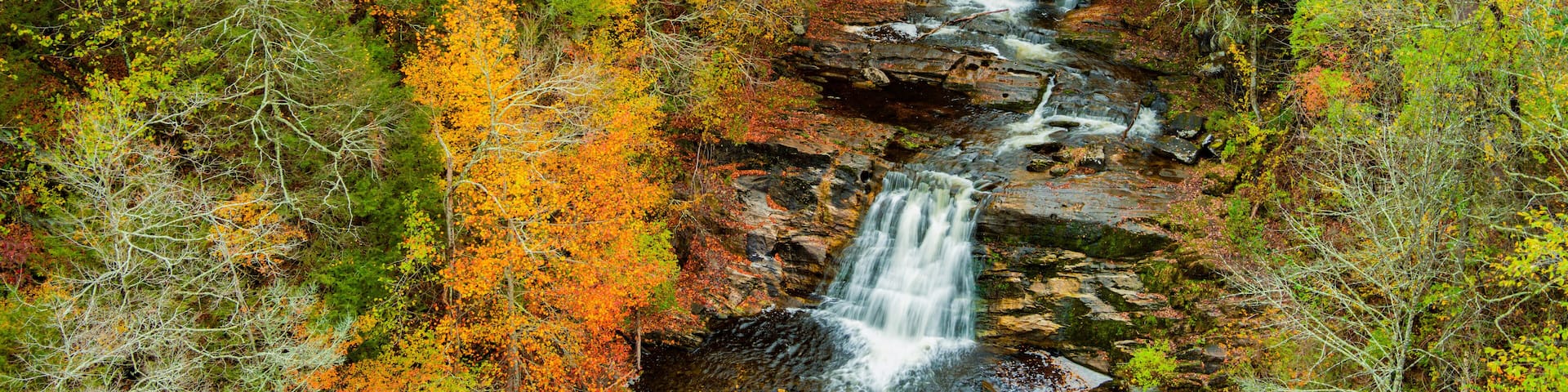 A waterfall cascading through a forest with autumn foliage.