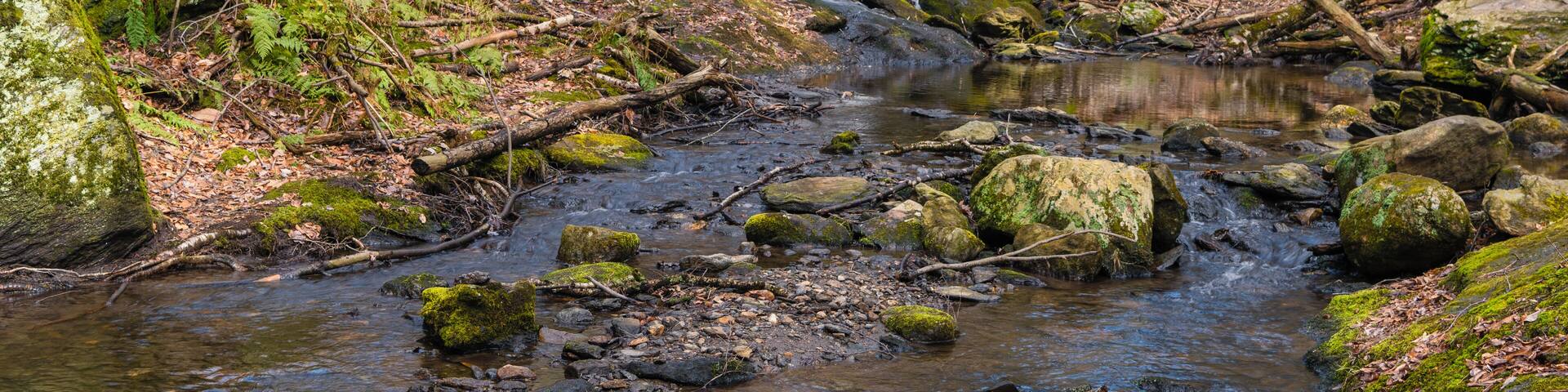 Photograph of a natural waterfall deep in the woods