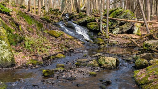 Photograph of a natural waterfall deep in the woods