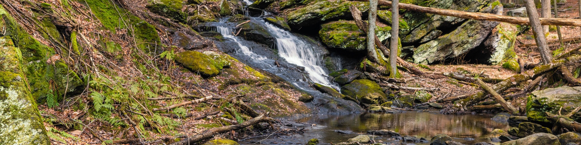 Photograph of a natural waterfall deep in the woods