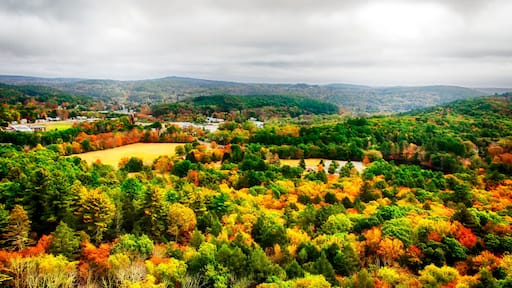 พรอสเปคท์