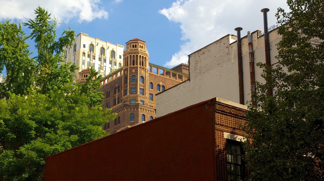 Brooklyn Heights showing a city