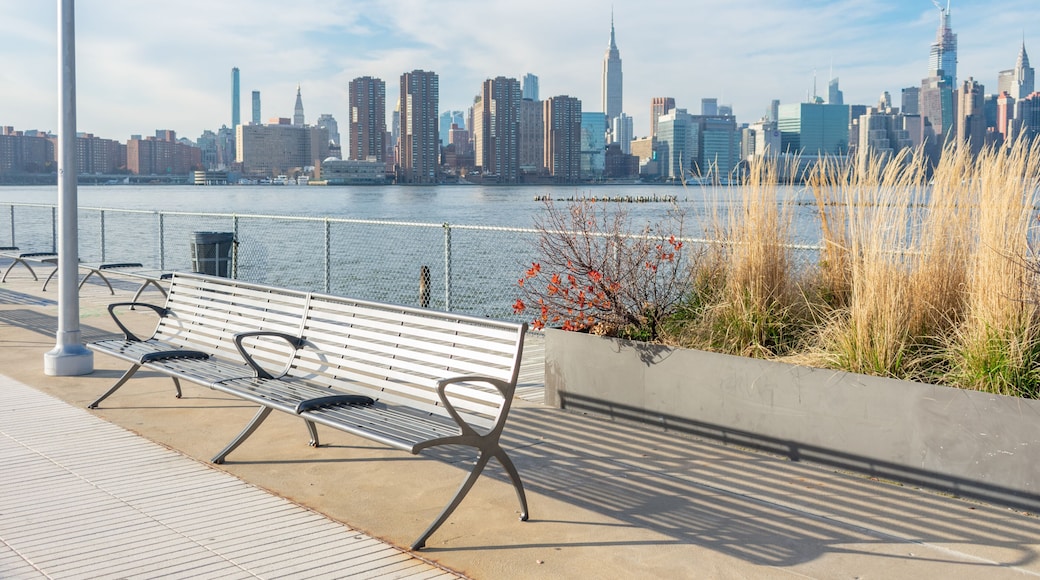 Empty Bench with Plants at a Park in Greenpoint Brooklyn New York looking out towards the East River and the Manhattan Skyline