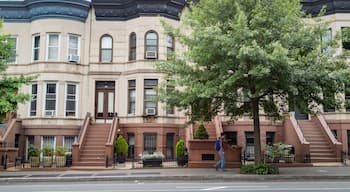 Park Slope featuring street scenes