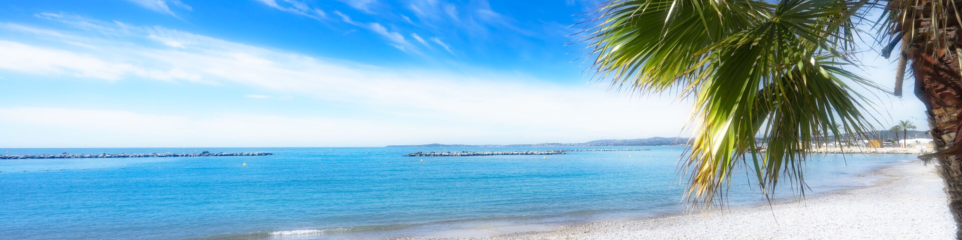 Palmenstrand mit Freiraum ( Saint-Laurent-du-Var, Frankreich )