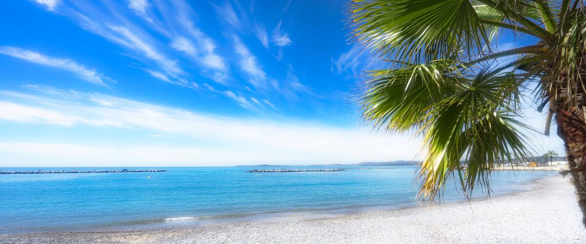 A beach with white sand, clear blue water, and a palm tree.