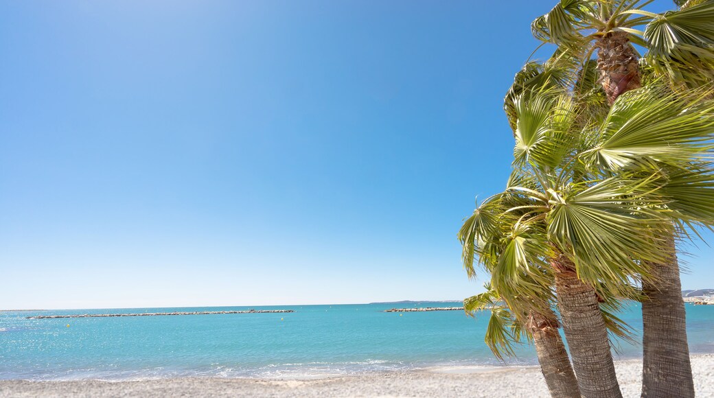 Drei Palmen am Strand mit Freiraum ( Saint-Laurent-du-Var, Frankreich )
