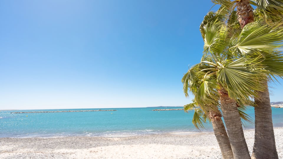 A beach with clear turquoise water, white sand, and palm trees.
