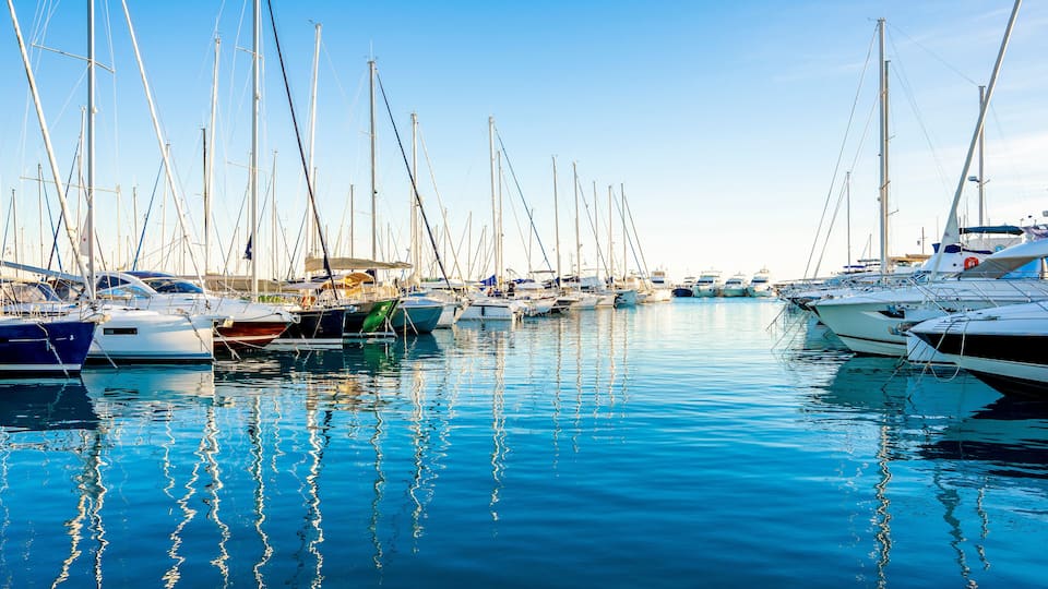A marina with various sailboats docked in calm waters.