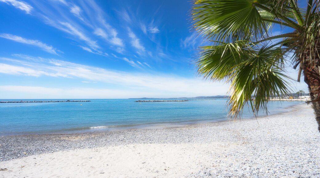 Palmenstrand mit Freiraum ( Saint-Laurent-du-Var, Frankreich )