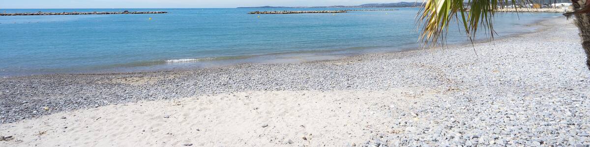 Palmenstrand mit Freiraum ( Saint-Laurent-du-Var, Frankreich )