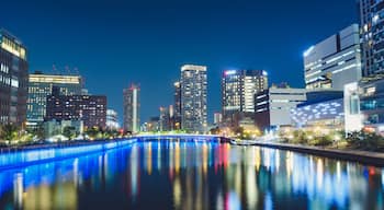 ํ์ฟ ์๋ง๊ตฌ