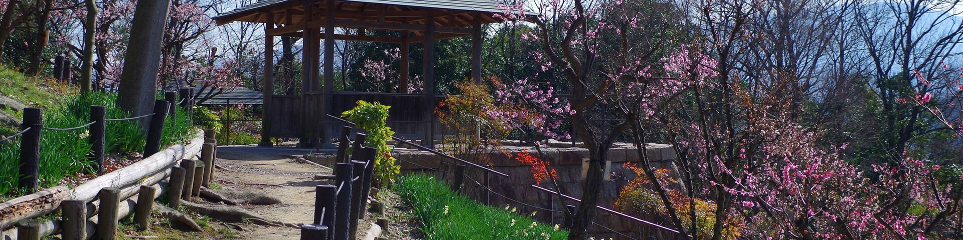 錦織公園にて 梅の里 2013.3.15