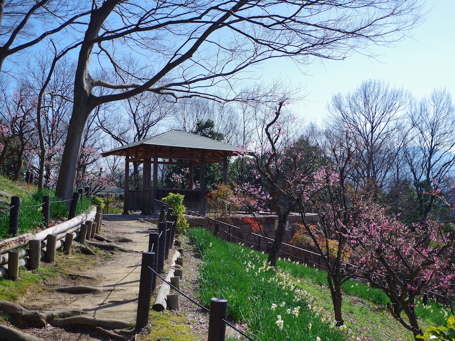 錦織公園にて 梅の里 2013.3.15