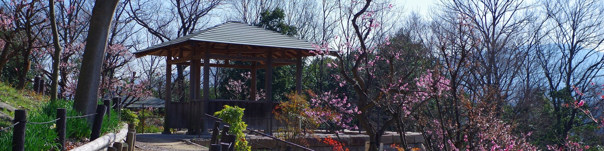 錦織公園にて 梅の里 2013.3.15