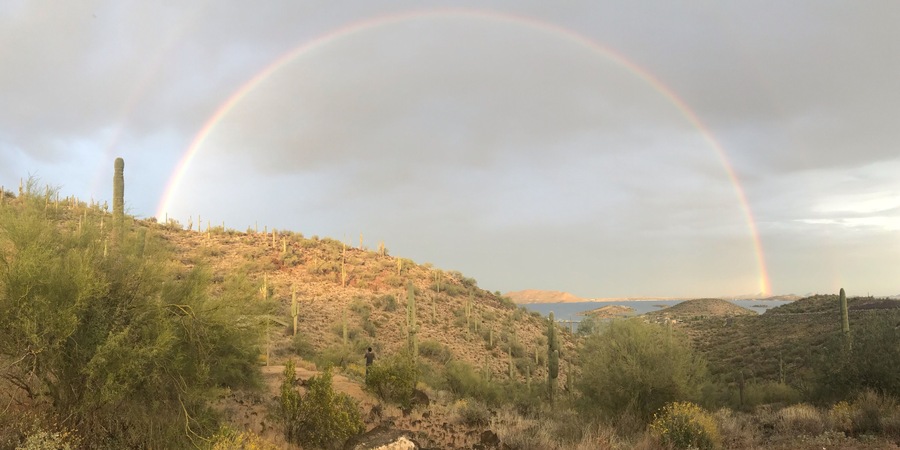Rainbow