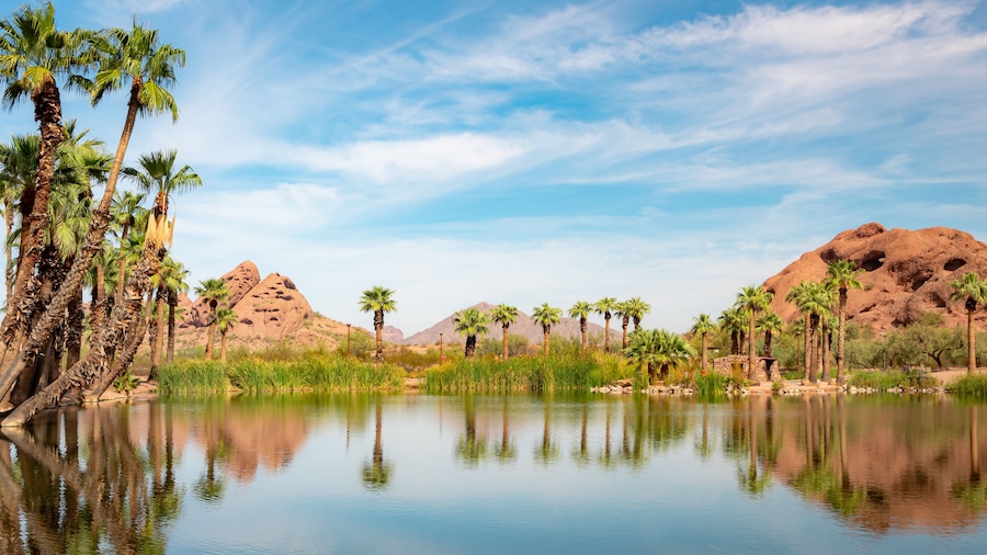 A calm lake with palm trees and rocky mountains in the background.
