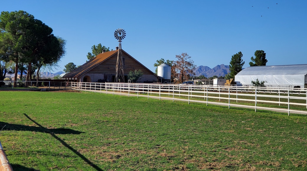 The Knotty Barn at Rocking R Farms