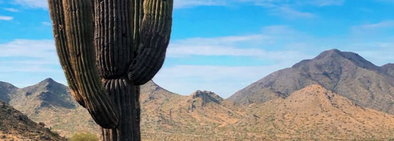 Got to enjoy a hike this morning and this lone cactus was just off the trail.