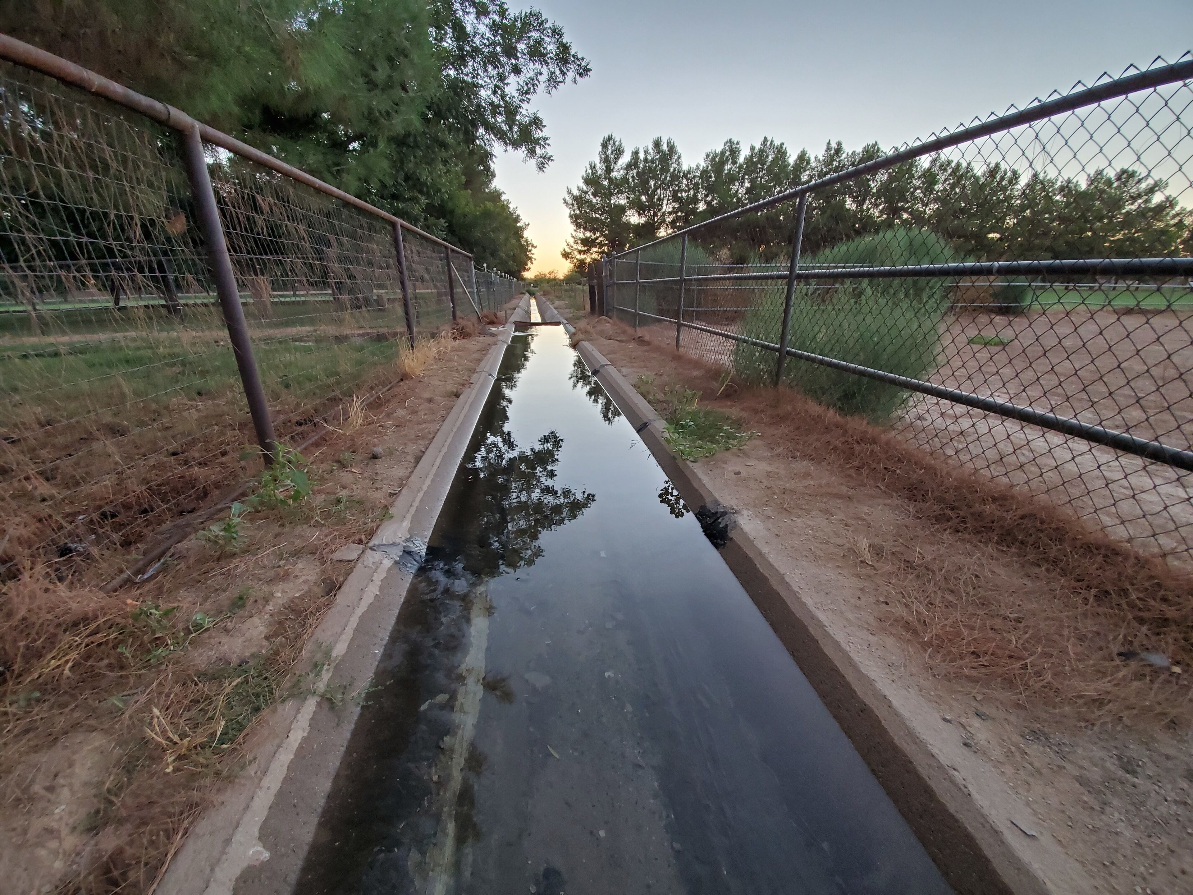 Flood Irrigation... Bringing life to the desert. 