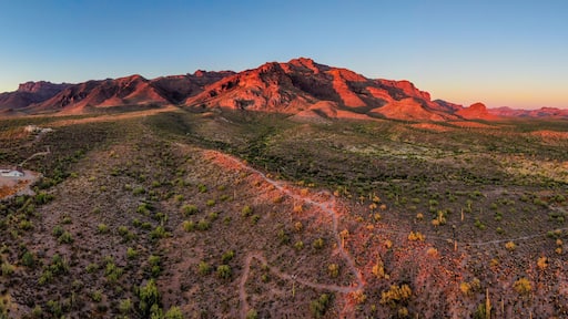 ํธ ํฌ๋ฆฌํฌ