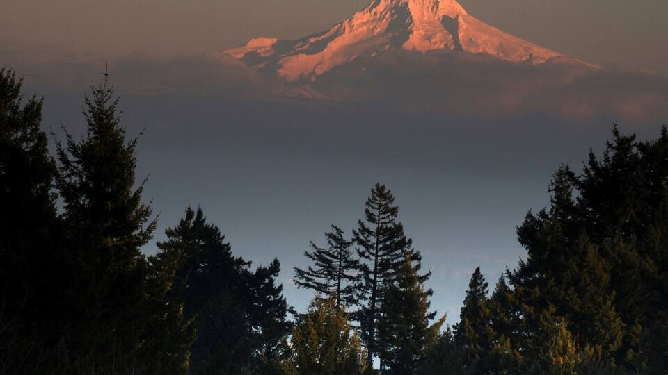 A snow-capped mountain with a forested foreground.
