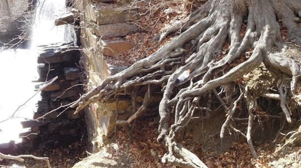 There is a slope down to a waterfall in the grounds to the back left of the cemetery. What’s cooler than a waterfall and a cemetery???