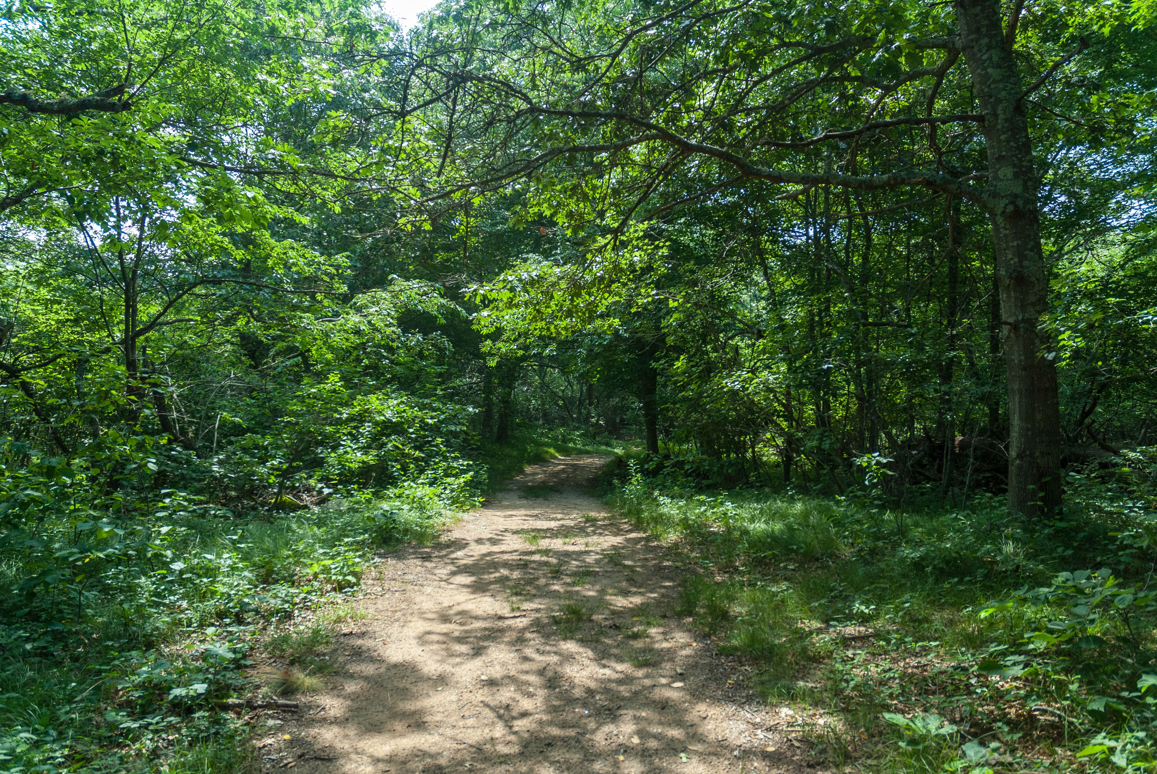 Hope Valley