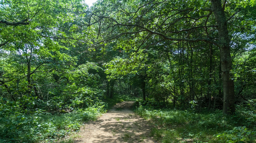 Hope Valley