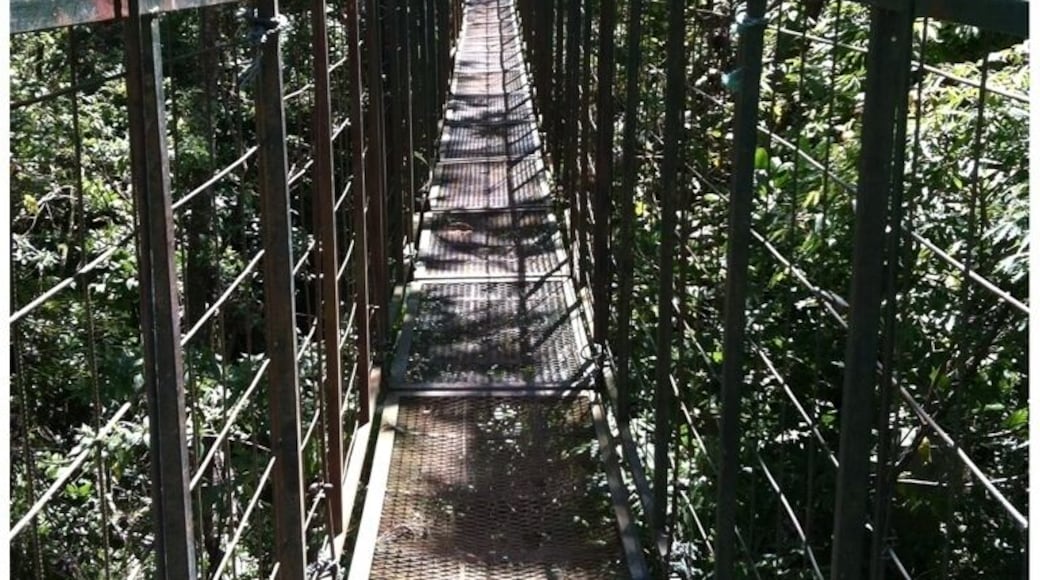 Montaña del sapo y la cilebra