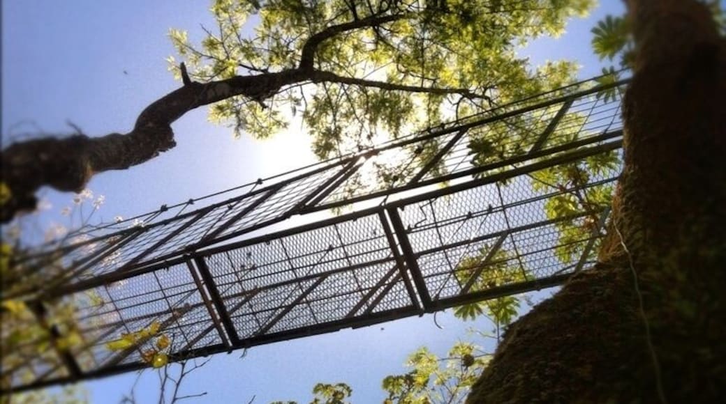 Montaña del sapo y la culebra!!!!