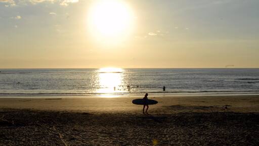 Surf's Up #LifeAtExpedia