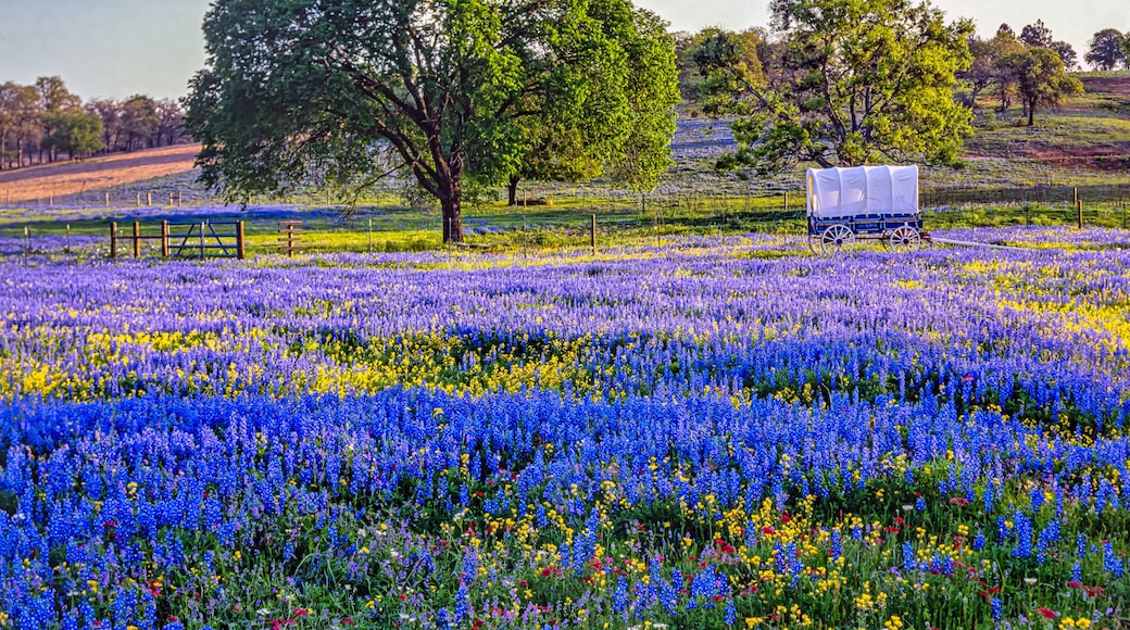 Hill country in West Texas near Austin