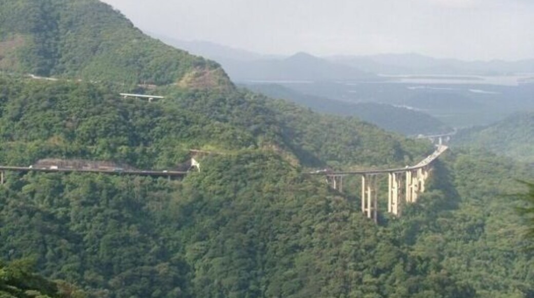 Brazilian Atlantic Forest. Litoral de São Paulo. Immigrants Road.
#TroveOnTuesday