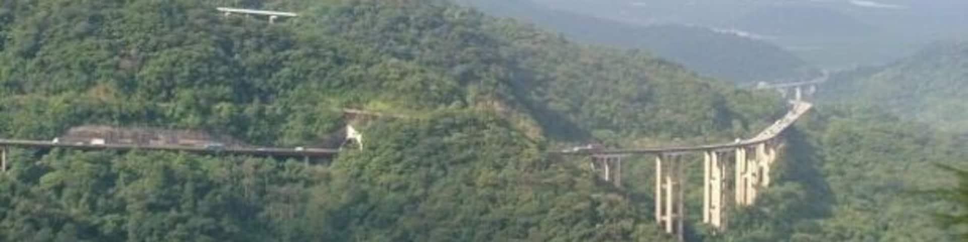 Brazilian Atlantic Forest. Litoral de SĂŁo Paulo. Immigrants Road.
#TroveOnTuesday
