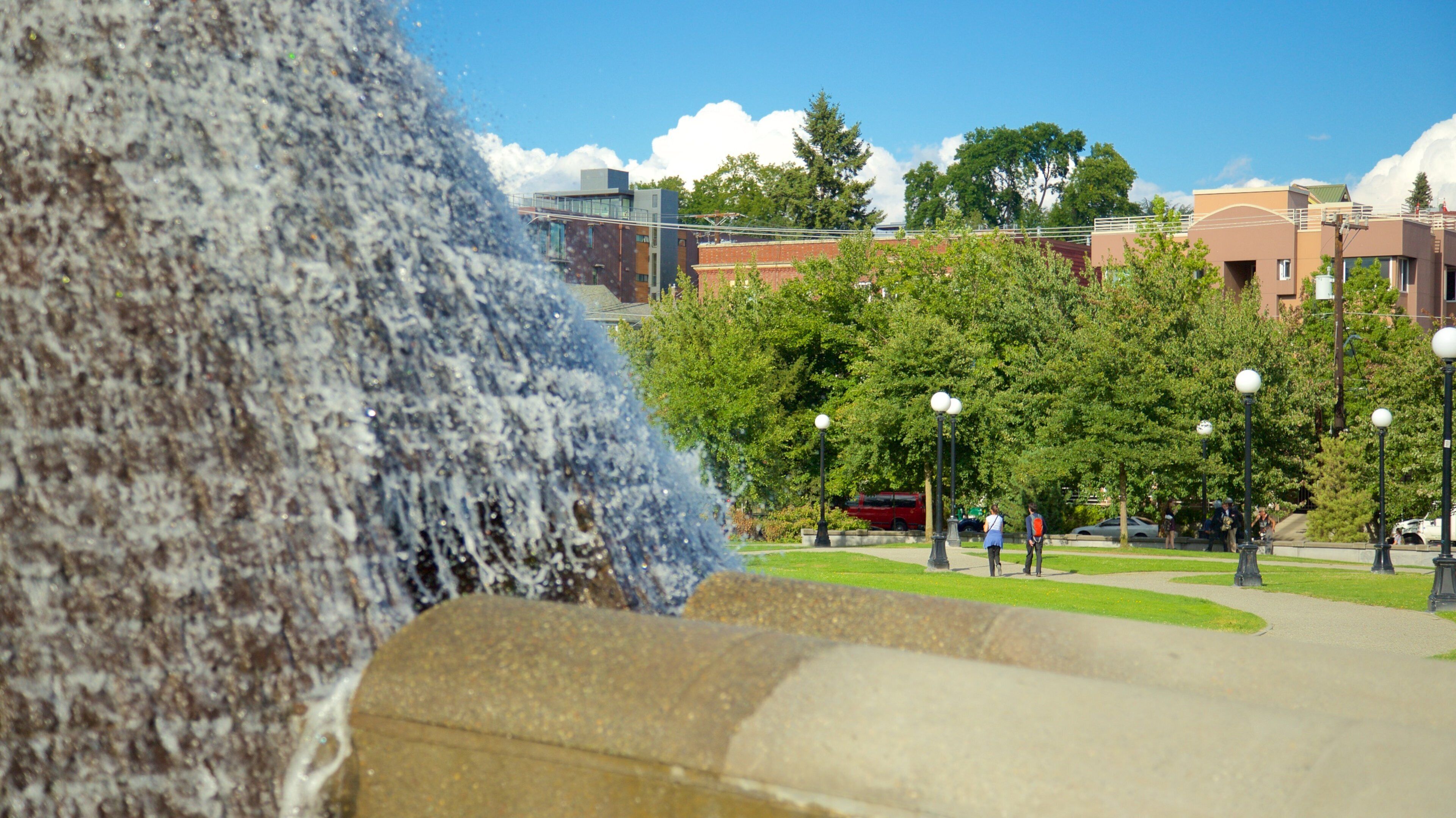 Capitol Hill which includes a fountain