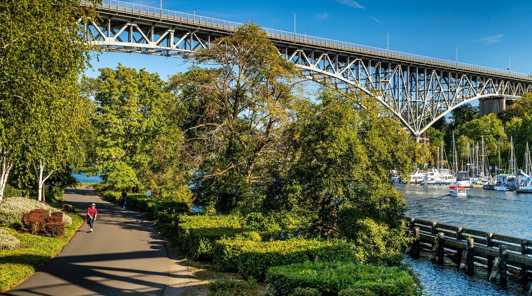 Fremont featuring a river or creek, a park and a bridge