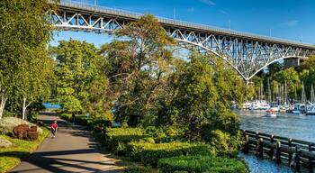 Fremont featuring a river or creek, a park and a bridge
