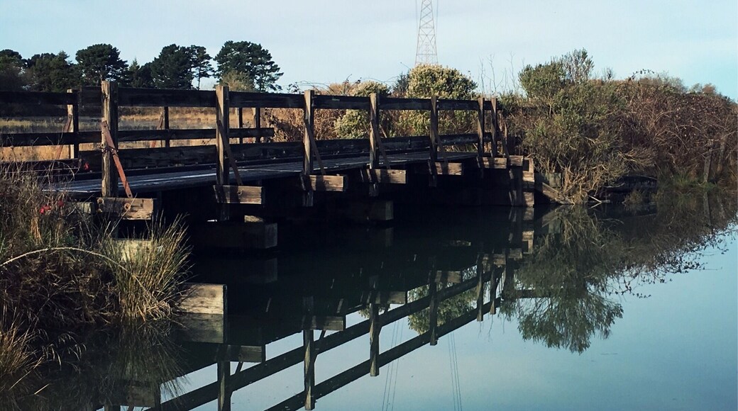 A pedestrian bridge connecting marsh paths near the interpretive center