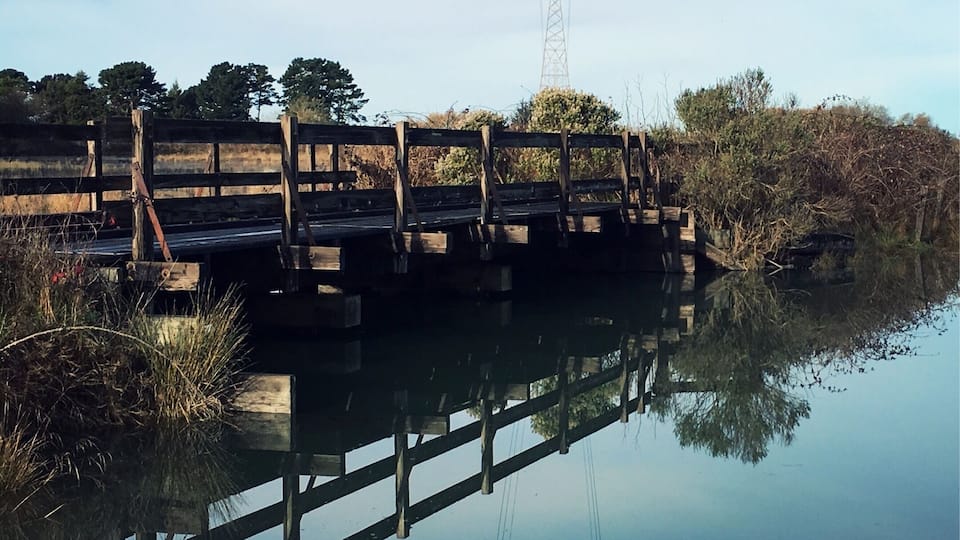 A pedestrian bridge connecting marsh paths near the interpretive center