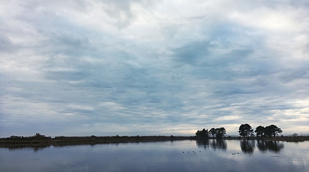View from one of the marsh trails