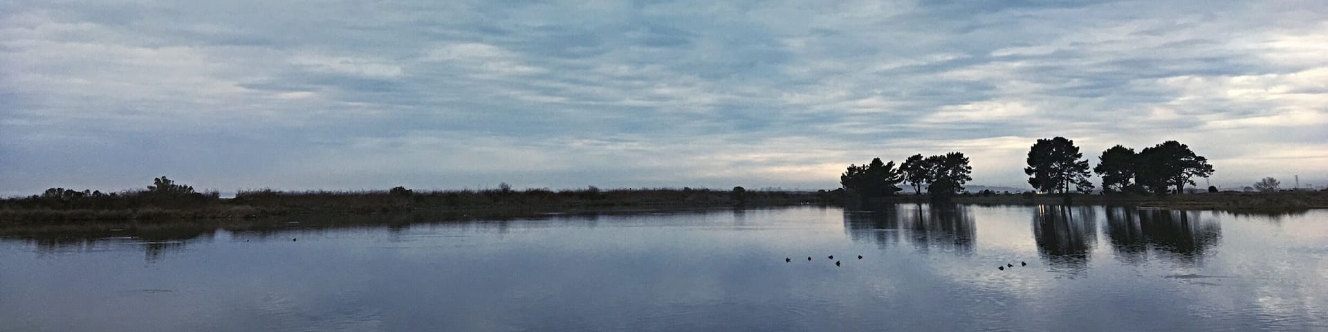 View from one of the marsh trails