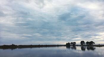 View from one of the marsh trails