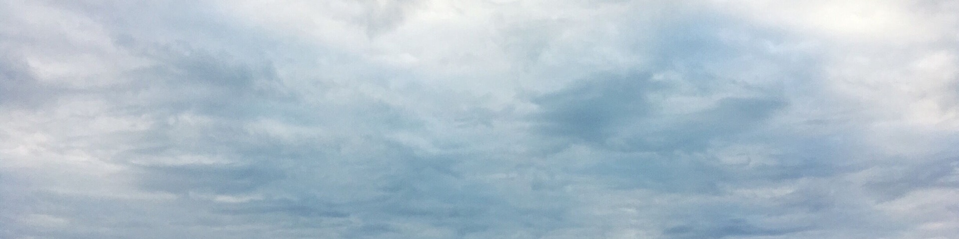 View from one of the marsh trails