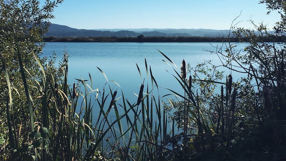 Klopp Lake at Arcata Marsh in Arcata, California