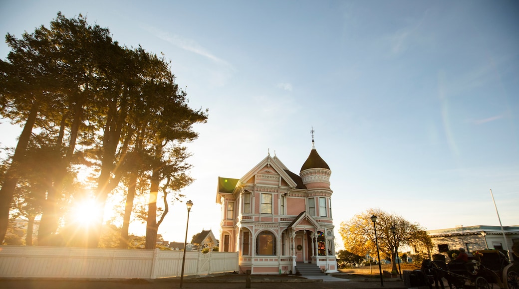 อาร์เคตา