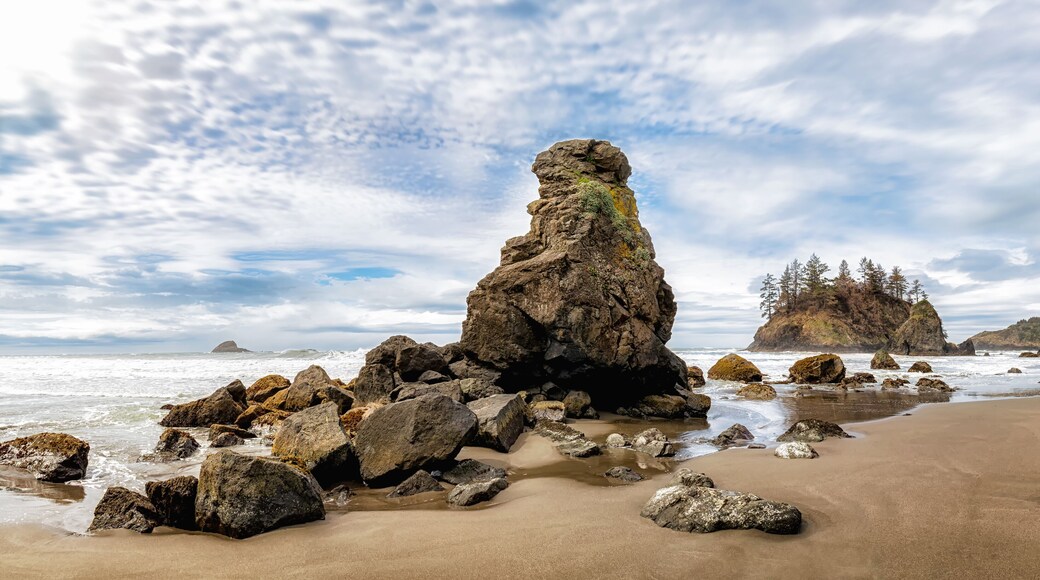 Grandmother Rock Standing Proudly at Trinidad State Beach, California, USA