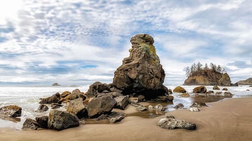 Grandmother Rock Standing Proudly at Trinidad State Beach, California, USA