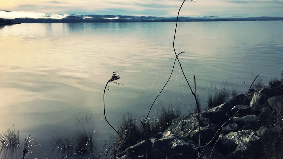 Arcata Marsh & Wildlife Sanctuary is home to migratory birds and constructed wetlands, the latter treating wastewater from the city of Arcata. A log of recent bird sightings is kept in the interpretive center.
The trails along the marsh have views of ponds and Humboldt Bay. This view is looking southeast over Humboldt Bay towards Bayside.